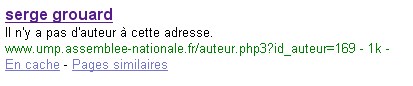 Serge Grouard sur le net
